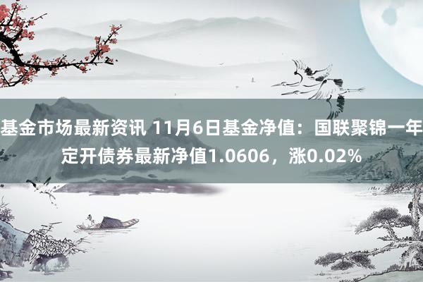 基金市场最新资讯 11月6日基金净值：国联聚锦一年定开债券最新净值1.0606，涨0.02%