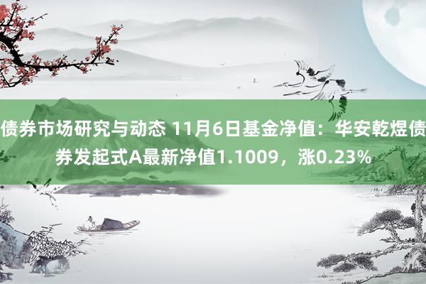 债券市场研究与动态 11月6日基金净值：华安乾煜债券发起式A最新净值1.1009，涨0.23%