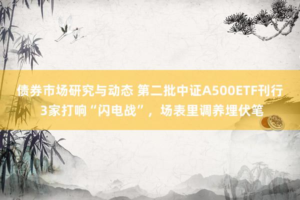 债券市场研究与动态 第二批中证A500ETF刊行 3家打响“闪电战”，场表里调养埋伏笔