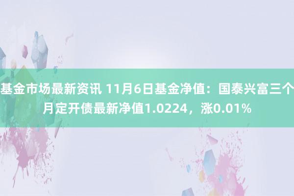 基金市场最新资讯 11月6日基金净值：国泰兴富三个月定开债最新净值1.0224，涨0.01%