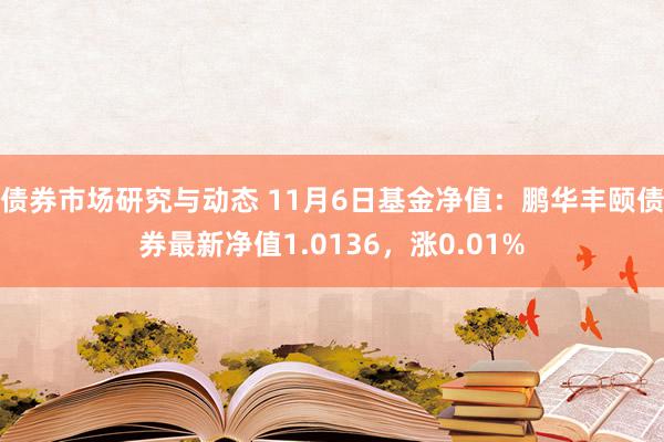 债券市场研究与动态 11月6日基金净值：鹏华丰颐债券最新净值1.0136，涨0.01%