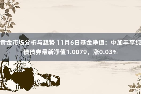 黄金市场分析与趋势 11月6日基金净值：中加丰享纯债债券最新净值1.0079，涨0.03%