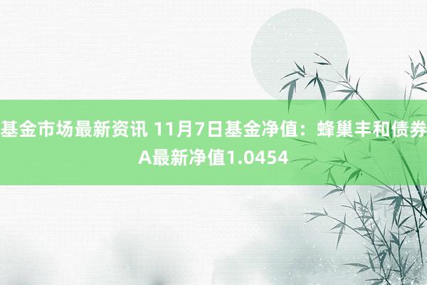 基金市场最新资讯 11月7日基金净值：蜂巢丰和债券A最新净值1.0454