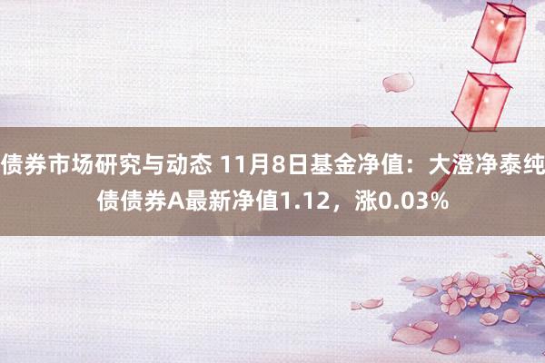 债券市场研究与动态 11月8日基金净值：大澄净泰纯债债券A最新净值1.12，涨0.03%