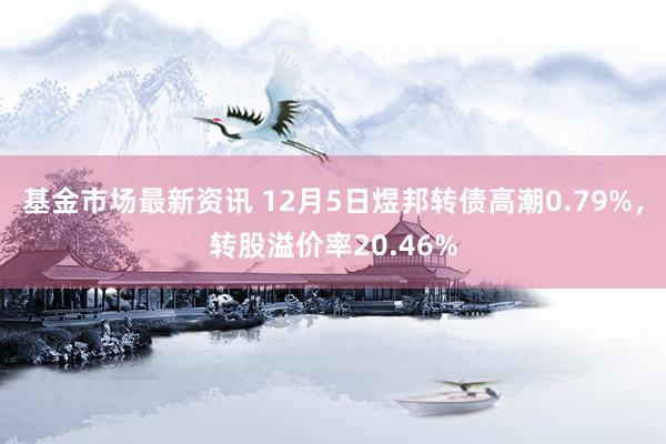 基金市场最新资讯 12月5日煜邦转债高潮0.79%，转股溢价率20.46%