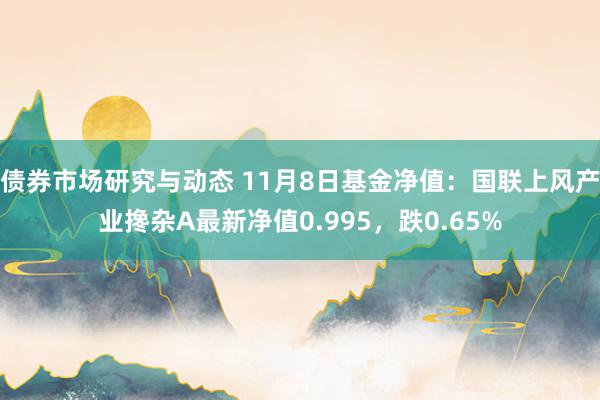 债券市场研究与动态 11月8日基金净值：国联上风产业搀杂A最新净值0.995，跌0.65%