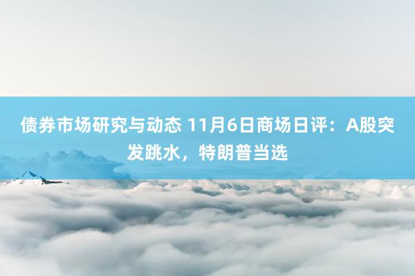 债券市场研究与动态 11月6日商场日评：A股突发跳水，特朗普当选