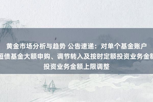 黄金市场分析与趋势 公告速递：对单个基金账户国金惠鑫短债基金大额申购、调节转入及按时定额投资业务金额上限调整