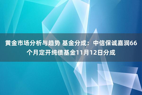 黄金市场分析与趋势 基金分成：中信保诚嘉润66个月定开纯债基金11月12日分成