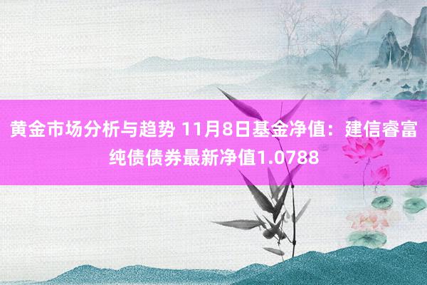 黄金市场分析与趋势 11月8日基金净值：建信睿富纯债债券最新净值1.0788