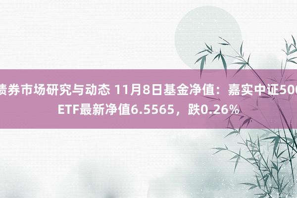 债券市场研究与动态 11月8日基金净值：嘉实中证500ETF最新净值6.5565，跌0.26%