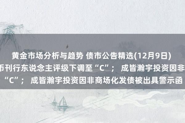 黄金市场分析与趋势 债市公告精选(12月9日) | 惠誉将万达商管长期外币刊行东说念主评级下调至“C”； 成皆瀚宇投资因非商场化发债被出具警示函