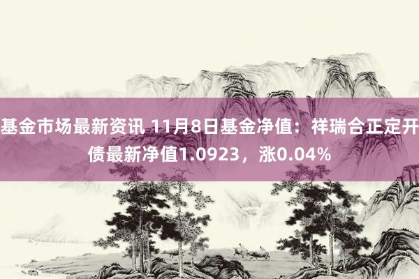 基金市场最新资讯 11月8日基金净值：祥瑞合正定开债最新净值1.0923，涨0.04%