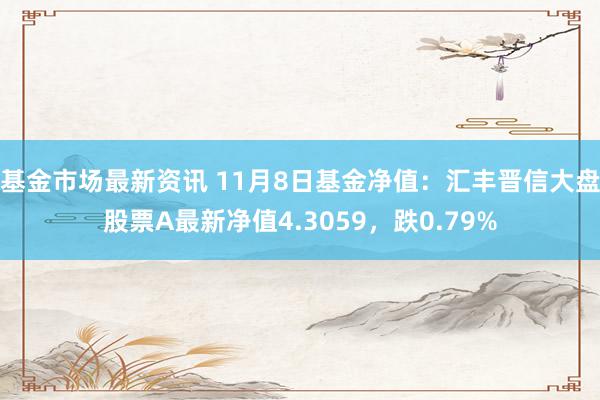 基金市场最新资讯 11月8日基金净值：汇丰晋信大盘股票A最新净值4.3059，跌0.79%