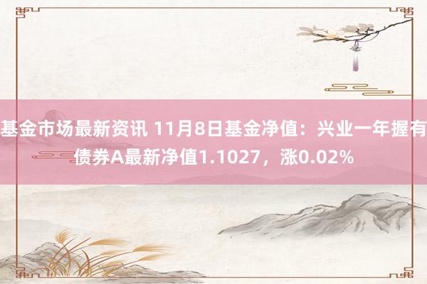 基金市场最新资讯 11月8日基金净值：兴业一年握有债券A最新净值1.1027，涨0.02%