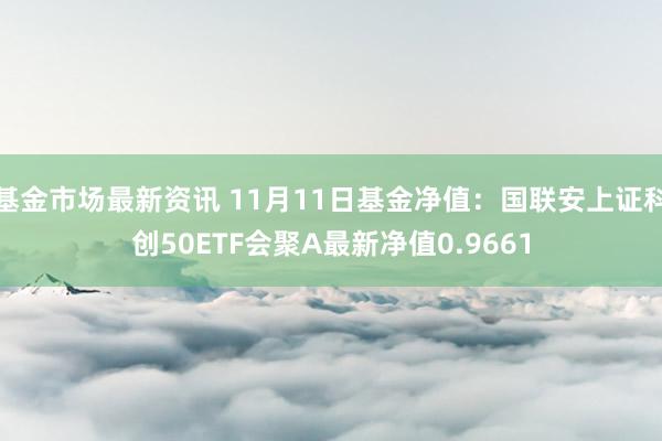 基金市场最新资讯 11月11日基金净值：国联安上证科创50ETF会聚A最新净值0.9661