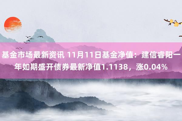 基金市场最新资讯 11月11日基金净值：建信睿阳一年如期盛开债券最新净值1.1138，涨0.04%