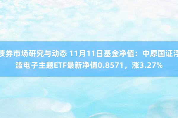 债券市场研究与动态 11月11日基金净值：中原国证浮滥电子主题ETF最新净值0.8571，涨3.27%