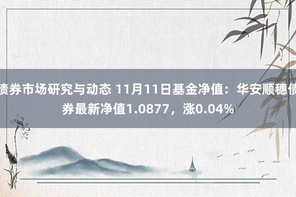 债券市场研究与动态 11月11日基金净值：华安顺穗债券最新净值1.0877，涨0.04%