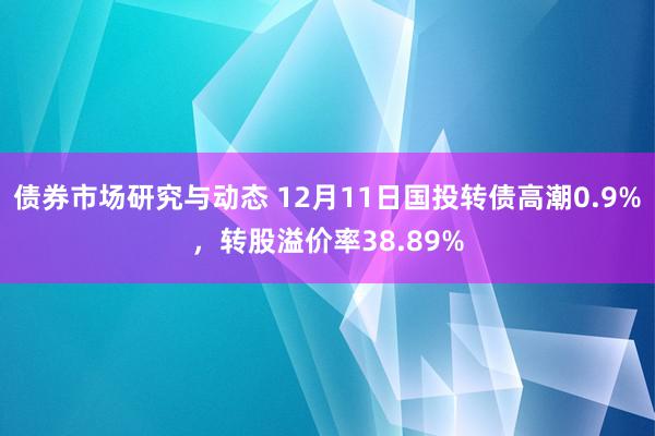 债券市场研究与动态 12月11日国投转债高潮0.9%，转股溢价率38.89%