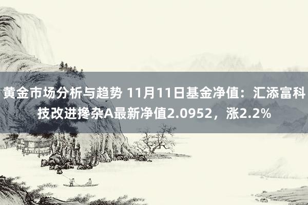 黄金市场分析与趋势 11月11日基金净值：汇添富科技改进搀杂A最新净值2.0952，涨2.2%