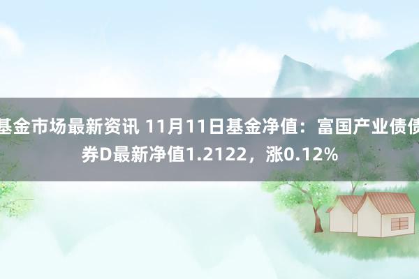 基金市场最新资讯 11月11日基金净值：富国产业债债券D最新净值1.2122，涨0.12%