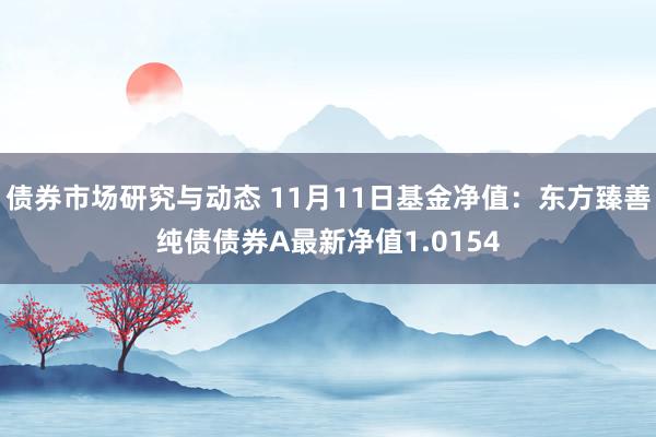 债券市场研究与动态 11月11日基金净值：东方臻善纯债债券A最新净值1.0154