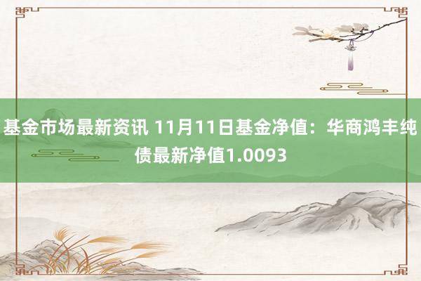 基金市场最新资讯 11月11日基金净值：华商鸿丰纯债最新净值1.0093