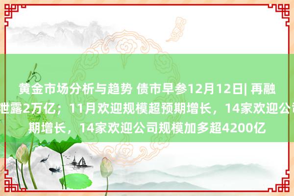 黄金市场分析与趋势 债市早参12月12日| 再融资专项债置换隐债已泄露2万亿；11月欢迎规模超预期增长，14家欢迎公司规模加多超4200亿