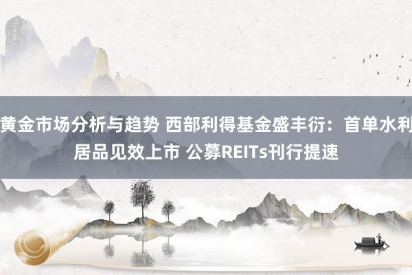 黄金市场分析与趋势 西部利得基金盛丰衍：首单水利居品见效上市 公募REITs刊行提速