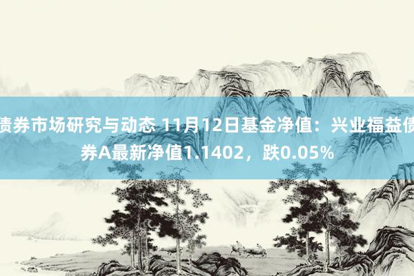 债券市场研究与动态 11月12日基金净值：兴业福益债券A最新净值1.1402，跌0.05%