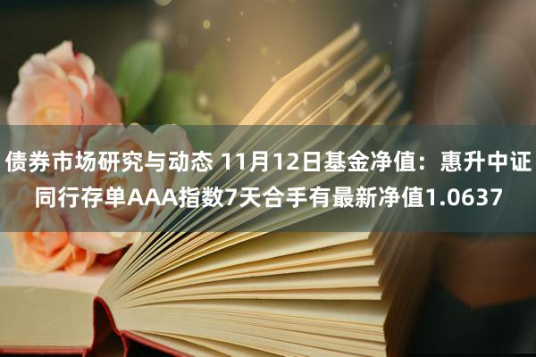 债券市场研究与动态 11月12日基金净值：惠升中证同行存单AAA指数7天合手有最新净值1.0637