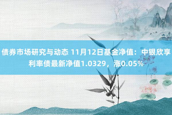 债券市场研究与动态 11月12日基金净值：中银欣享利率债最新净值1.0329，涨0.05%