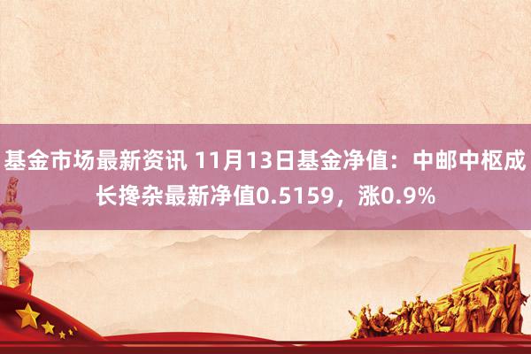 基金市场最新资讯 11月13日基金净值：中邮中枢成长搀杂最新净值0.5159，涨0.9%