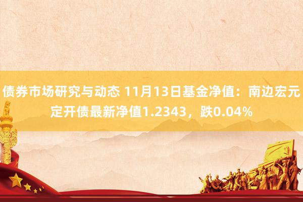 债券市场研究与动态 11月13日基金净值：南边宏元定开债最新净值1.2343，跌0.04%