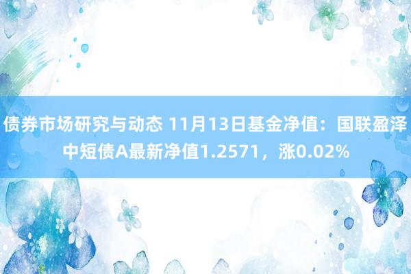 债券市场研究与动态 11月13日基金净值：国联盈泽中短债A最新净值1.2571，涨0.02%