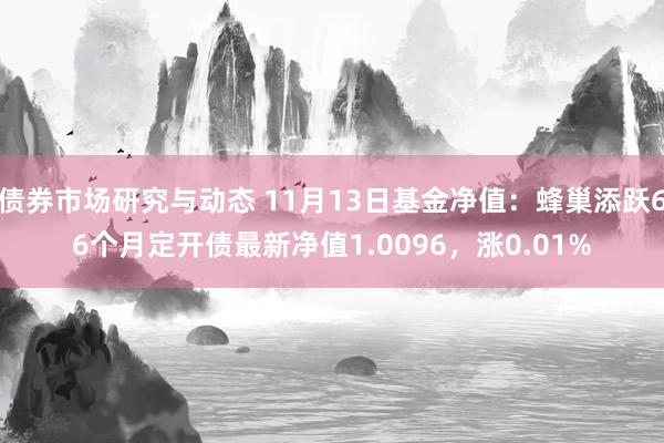 债券市场研究与动态 11月13日基金净值：蜂巢添跃66个月定开债最新净值1.0096，涨0.01%