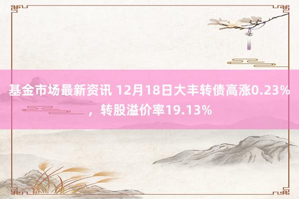 基金市场最新资讯 12月18日大丰转债高涨0.23%，转股溢价率19.13%