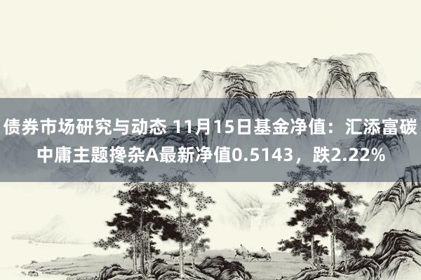 债券市场研究与动态 11月15日基金净值：汇添富碳中庸主题搀杂A最新净值0.5143，跌2.22%