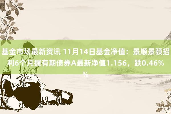 基金市场最新资讯 11月14日基金净值：景顺景颐招利6个月握有期债券A最新净值1.156，跌0.46%