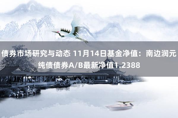 债券市场研究与动态 11月14日基金净值：南边润元纯债债券A/B最新净值1.2388