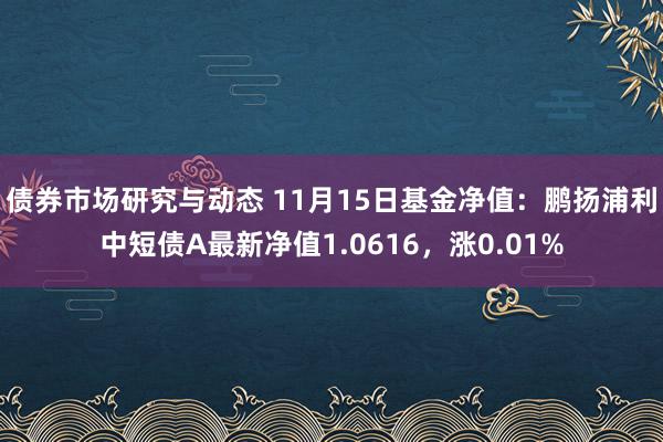 债券市场研究与动态 11月15日基金净值：鹏扬浦利中短债A最新净值1.0616，涨0.01%