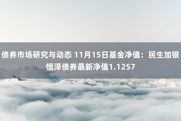 债券市场研究与动态 11月15日基金净值：民生加银恒泽债券最新净值1.1257