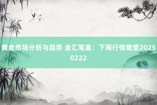 黄金市场分析与趋势 金汇笔直：下周行情瞻望20250222