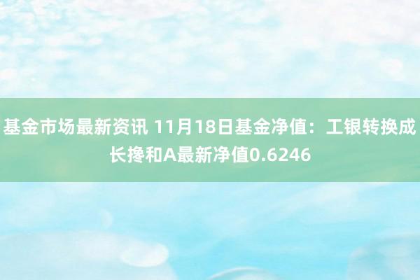 基金市场最新资讯 11月18日基金净值：工银转换成长搀和A最新净值0.6246