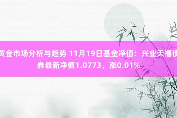 黄金市场分析与趋势 11月19日基金净值：兴业天禧债券最新净值1.0773，涨0.01%