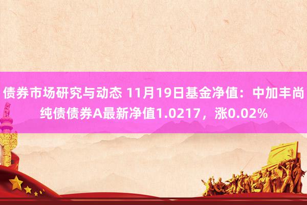 债券市场研究与动态 11月19日基金净值：中加丰尚纯债债券A最新净值1.0217，涨0.02%