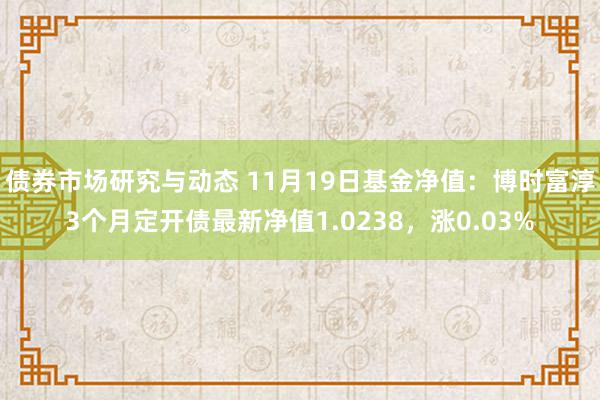 债券市场研究与动态 11月19日基金净值：博时富淳3个月定开债最新净值1.0238，涨0.03%