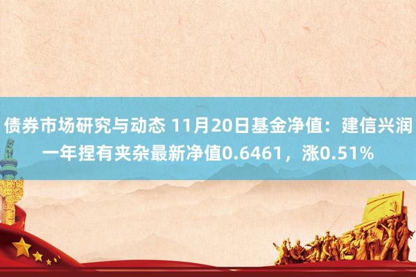 债券市场研究与动态 11月20日基金净值：建信兴润一年捏有夹杂最新净值0.6461，涨0.51%