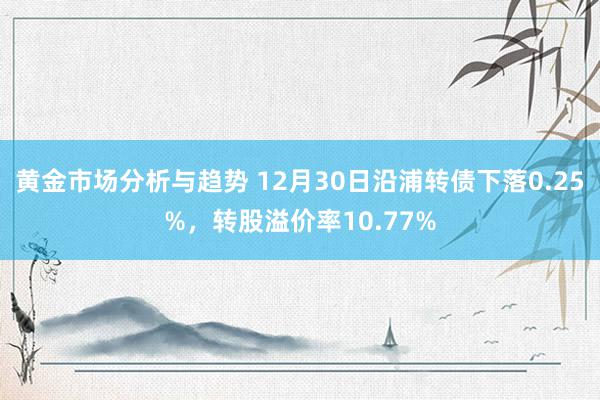 黄金市场分析与趋势 12月30日沿浦转债下落0.25%，转股溢价率10.77%